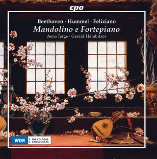 the album cover for Beethoven / Torge / Hambitzer - Mandolino E Fortepiano