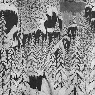 the album cover for Paysage D'hiver - Schattengang [Digipak]