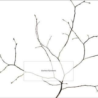 the album cover for K. Leimer - Useless Epitomes