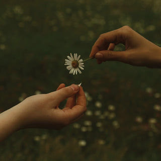 the album cover for Goldmund - The Time It Takes