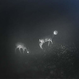 the album cover for Bliss Signal - Bliss Signal [Limited Edition]