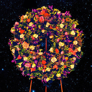 the album cover for Great Peacock - FOREVER WORSE BETTER