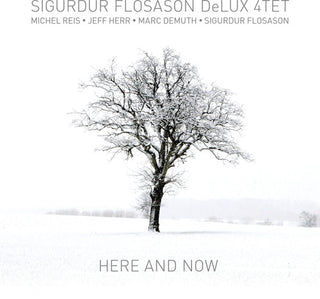 the album cover for Sigurdur Flosason - Here & Now