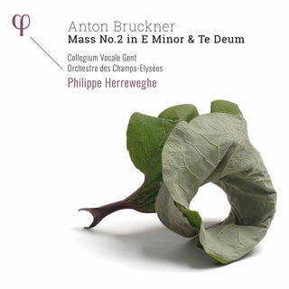 the album cover for Bruckner / Collegium Vocale Gent / Herreweghe - Mass 2 in E Minor