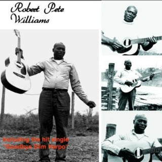 the album cover for Robert Williams Pete - Robert Pete Williams