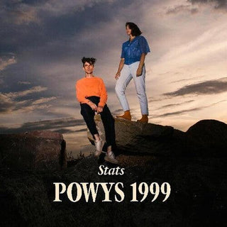 Stats- Powys 1999