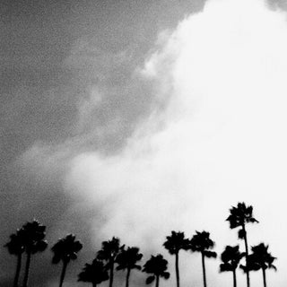 Richard Rose- Radiation Breeze