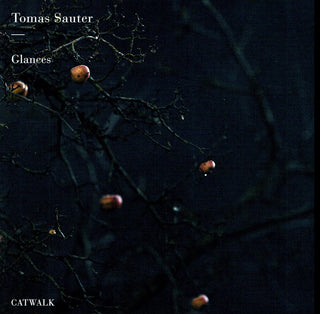 the album cover for Sauter / Sauter - Glances