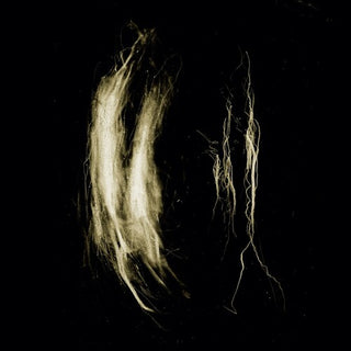 My Heart an Inverted Flame- Plague Notes