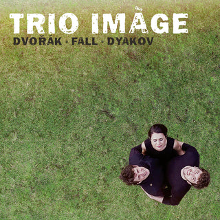 the album cover for Dvorak / Trio Image - Piano Trios