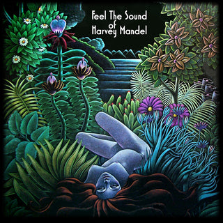 the album cover for Harvey Mandel - Feel the Sound Of Harvey Mandel