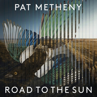 the album cover for Pat Metheny - Road To The Sun