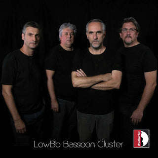 the album cover for Betta / Mandolesi / Pisani - Lowbb Bassoon Cluster