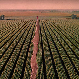 the album cover for Possible Humans - Everybody Split