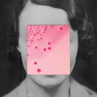 Heligoland- This Quiet Fire (Vinyl)