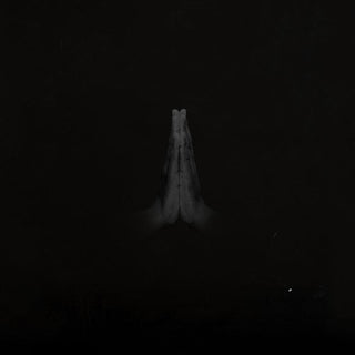 the album cover for Sault - Untitled: Rise [Import 2LP]