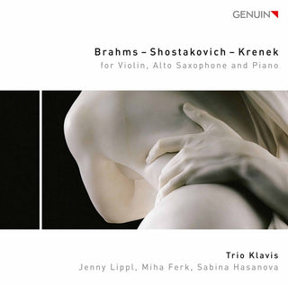 the album cover for Brahms / Trio Klavis - Trios