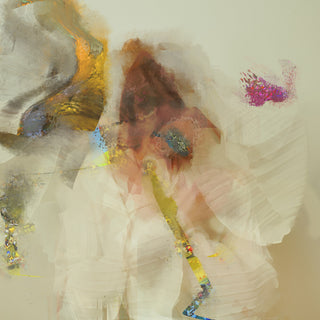 the album cover for Flock Of Dimes - Head Of Roses