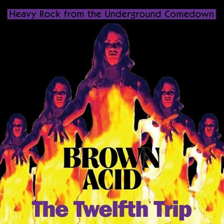 Various Artists- Brown Acid - The Twelfth Trip (Various Artists) (Vinyl)