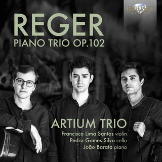 the album cover for Reger / Artium Trio - Piano Trio 102