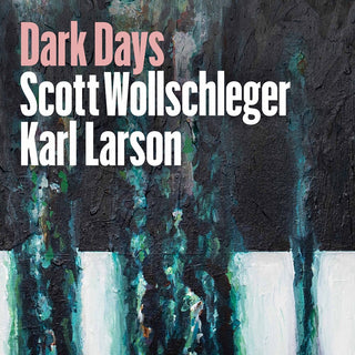 the album cover for Wollschleger / Larson - Dark Days