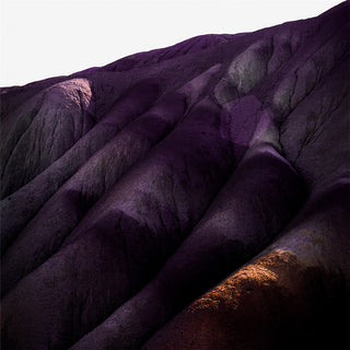 the album cover for Whispering Sons - Several Others