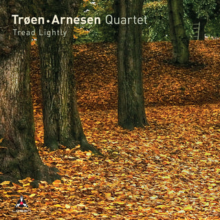 the album cover for Troen / Arnesen Quartet - Tread Lightly