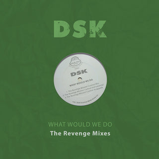 the album cover for DSK - What Would We Do - The Revenge Mixes (Mod)