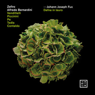 the album cover for Fux / Zefiro / Bernardini - Dafne In Lauro (2pk)