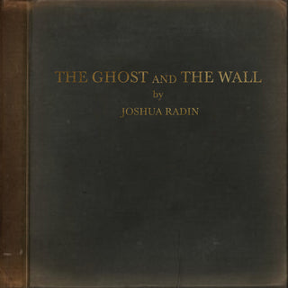 the album cover for Joshua Radin - The Ghost and the Wall