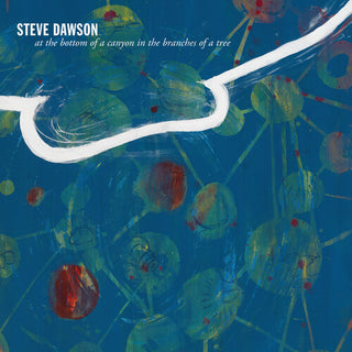 Steve Dawson- At The Bottom Of A Canyon In The Branches Of Tree