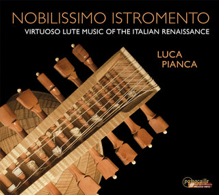 the album cover for Nobilissimo Istromento / Various - Nobilissimo Istromento