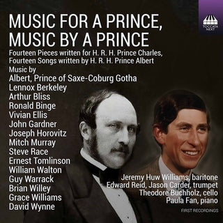 the album cover for Paula Fan - Music for a Prince
