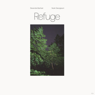 Devendra Banhart- Refuge