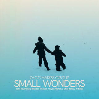 the album cover for Zacc Harris Group - Small Wonders