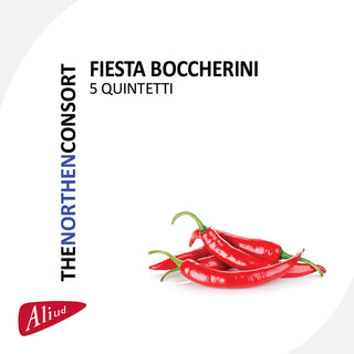 the album cover for Boccherini / Northern Consort - 5 Quintets
