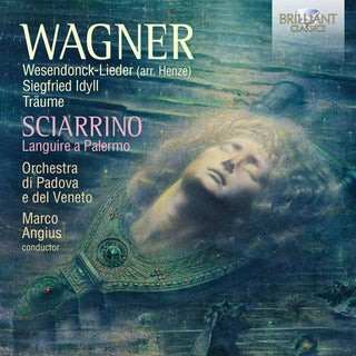 the album cover for Sciarrino / Orchestra Di Padova E Del Veneto - Works