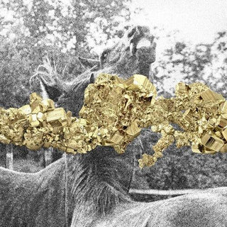 Martin Guerra- Temporada De Pesca