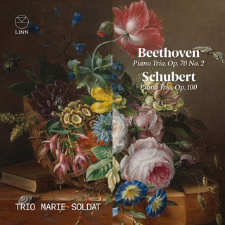 the album cover for Beethoven / Trio Marie Soldat - Piano Trio 70 2