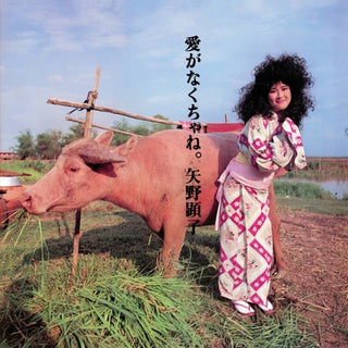 the album cover for Akiko Yano - Ai Ga Nakucha Ne