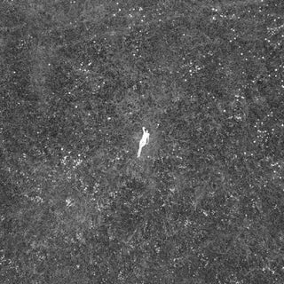 Birds of Passage- The Last of Garden