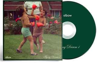 the album cover for Elbow - Flying Dream 1