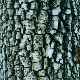 the album cover for Ativin - Interiors