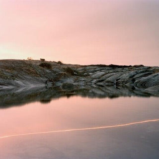 Cassandra Jenkins- (an Overview On) An Overview On Phenomenal Nature