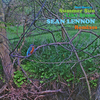 the album cover for Matt Berry - Summer Sun / Like Stone (sean Ono Lennon Remixes) [Vinyl]