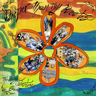 the album cover for Davey Johnstone  Band - Deeper Than My Roots (Uk)