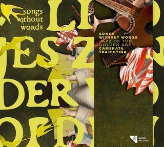 the album cover for Songs Without Words / Various - Songs Without Words / Various