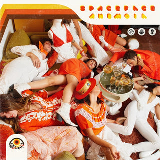 the album cover for Spaceface - Anemoia