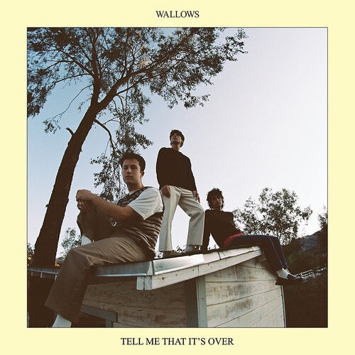 Wallows- Tell Me That It's Over