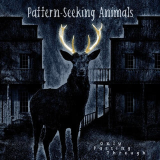 Pattern-Seeking Animals- Only Passing Through